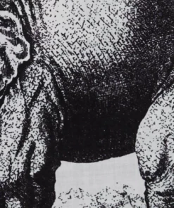 The Cat's Pajamas White Safari Toile Luxe Pima Capri Pajama Set Gifts By Recipient