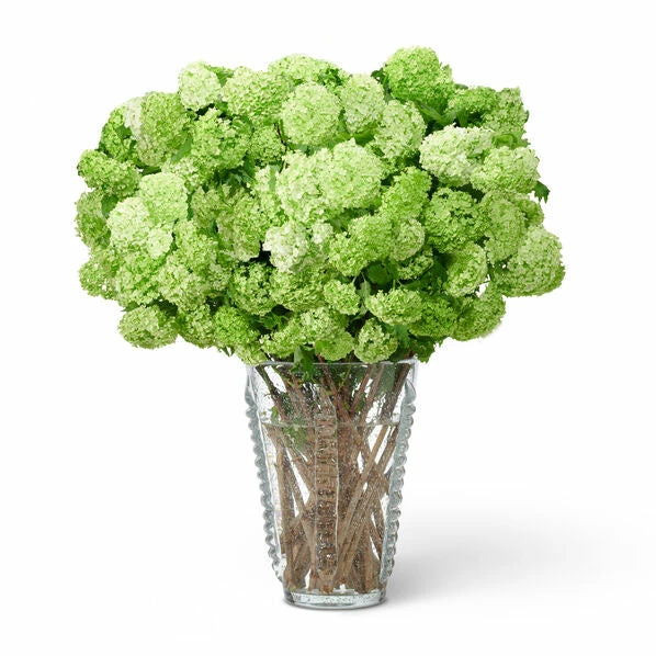 Aerin Lattea Large Vase 3 Aerin Lattea Large Vase