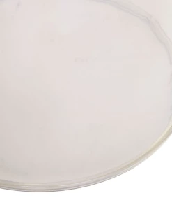 Arteriors ACCENT TABLE JESSE Gifts By Occasion