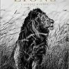 Teneus Publishing Lions Book