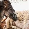 Teneus Publishing Horses Of Iceland Book Gifts By Occasion