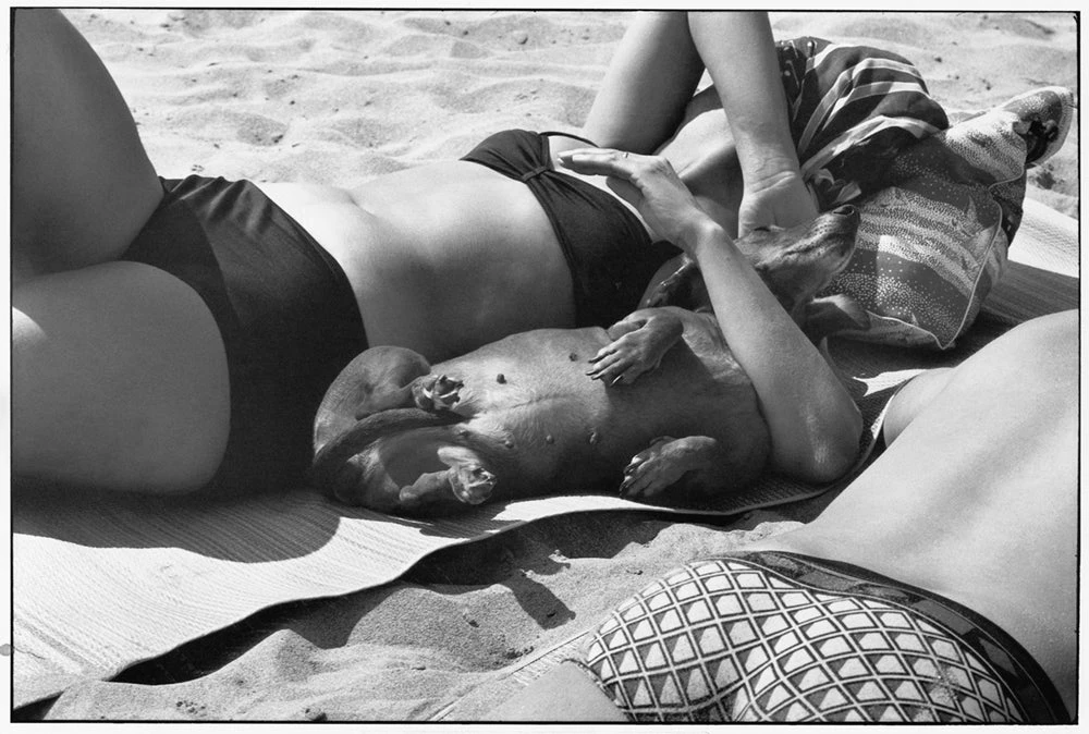 Teneus Publishing Gifts By Occasion Personal Best Book 2 Teneus Publishing Gifts By Occasion Personal Best Book