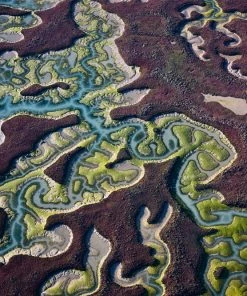 Teneus Publishing Gifts By Occasion Water. A Journey Through The Element By Rudi Sebastian 15 Teneus Publishing Gifts By Occasion Water. A Journey Through The Element By Rudi Sebastian