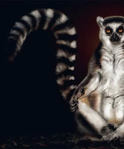 Teneus Publishing Gifts By Occasion Fragile By Pedro Jarque Krebs