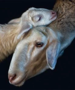 Teneus Publishing Gifts By Occasion Fragile By Pedro Jarque Krebs