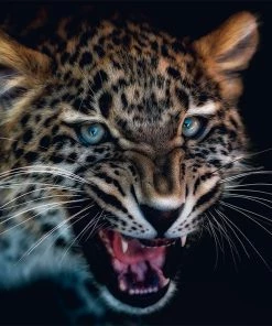 Teneus Publishing Gifts By Occasion Fragile By Pedro Jarque Krebs