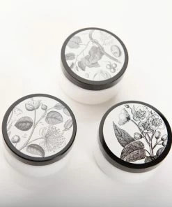 FORMULARY 55 SHEA BUTTER HAND & BODY CREAM (GARDENIA BLOSSOMS)