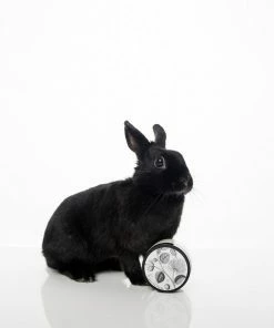 FORMULARY 55 SHEA BUTTER HAND & BODY CREAM (GARDENIA BLOSSOMS)