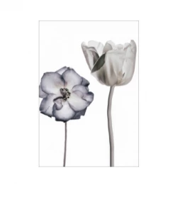 Art Addiction ACRYLIC SCULPTURE BOTANICAL FLORAL WHITE Host/Hostess