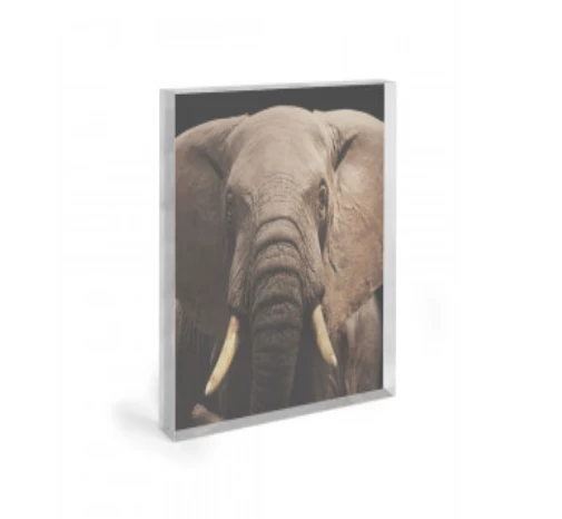 Art Addiction ACRYLIC SCULPTURE ART ELEPHANT Gifts By Occasion 1 Art Addiction ACRYLIC SCULPTURE ART ELEPHANT Gifts By Occasion