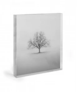 Art Addiction ACRYLIC SCULPTURE ART TREE Gifts By Occasion