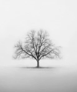 Art Addiction ACRYLIC SCULPTURE ART TREE Gifts By Occasion