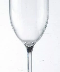 Huang Acrylic Acrylic Stemmed Champagne Glass
