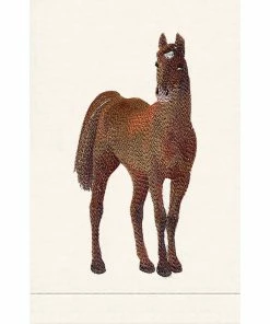 ANALI INC GUEST TOWEL HORSE Gifts By Occasion