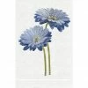 ANALI INC GUEST TOWEL GERBERA Gifts By Occasion
