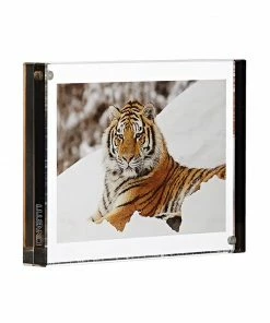 Canetti Design Group GRAPHITE EDGE MAGNET FRAME