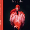 Teneus Publishing Gifts By Occasion Fragile By Pedro Jarque Krebs