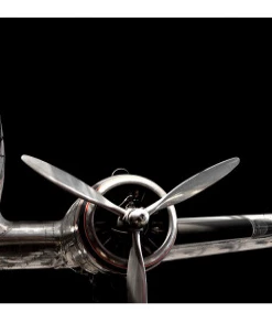 Art Addiction ACRYLIC SCULPTURE AIRPLANE S/2