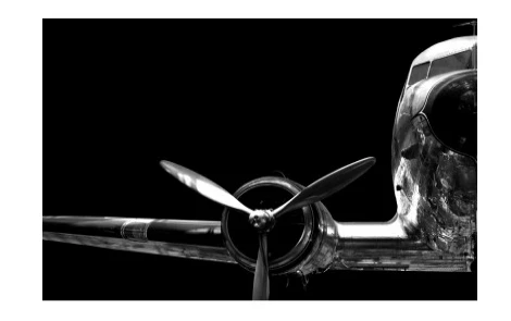 Art Addiction ACRYLIC SCULPTURE AIRPLANE S/2