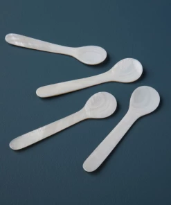 Be Home Spoon Sea Shell Small (Available In 3 Sizes) Gifts By Occasion